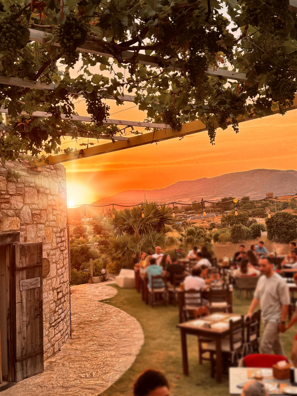 Datça Vineyard Restaurant